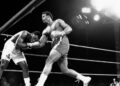 Heavyweight Title Fight Ends Early