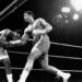 Heavyweight Title Fight Ends Early